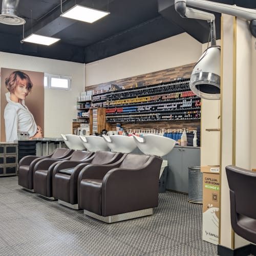 Coiffure Plus - Arras - Barbier Arras - Coiffure Plus - Arras - Photo Galerie - OneBooking