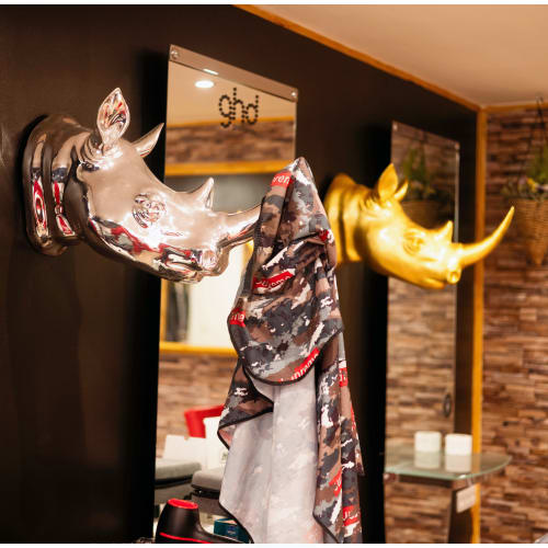 All Waze Hair - Coiffure Lille - All Waze Hair - Photo Galerie - OneBooking