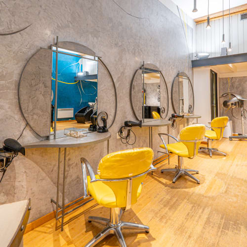 Coiffeur Conseil - Coiffure Castres - Coiffeur Conseil - Photo Galerie - OneBooking