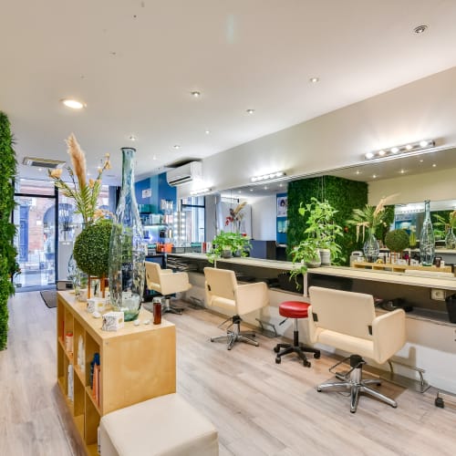 L'Institut de Coiffure - Coiffure Toulouse - L'Institut de Coiffure - Photo Galerie - OneBooking