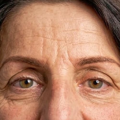 L’Harmonie du Sourcil - Sourcils & cils Saint-Herblain - L’Harmonie du Sourcil - Photo Galerie - OneBooking