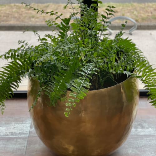 Salon Daniel - Coiffure Mérignac - Salon Daniel - Photo Galerie - OneBooking