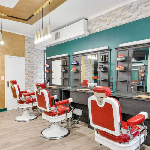 LM Studio - Coiffure Toulouse - LM Studio - Photo Galerie - OneBooking