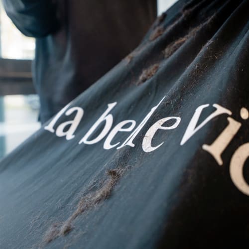 La Belle Vie - Coiffure Rennes - La Belle Vie - Photo Galerie - OneBooking
