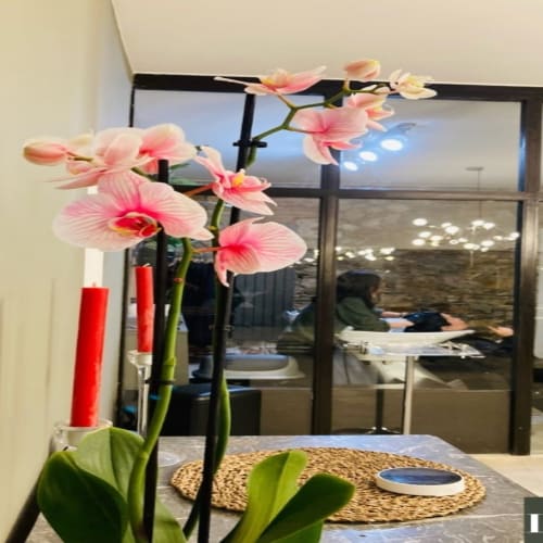 La Loge - Coiffure Nantes - La Loge - Photo Galerie - OneBooking