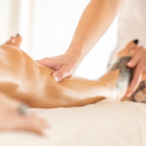 Kālī Massages - Certifiée Renata França - Coiffure Mougins - Kālī Massages - Certifiée Renata França - Photo Galerie - OneBooking