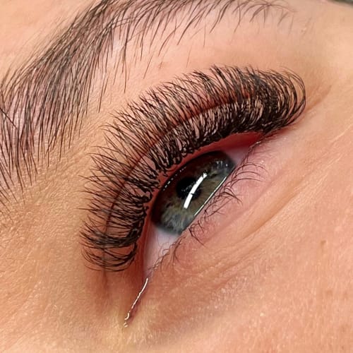 NEW Lash - Sourcils & cils Mulhouse - NEW Lash - Photo Galerie - OneBooking