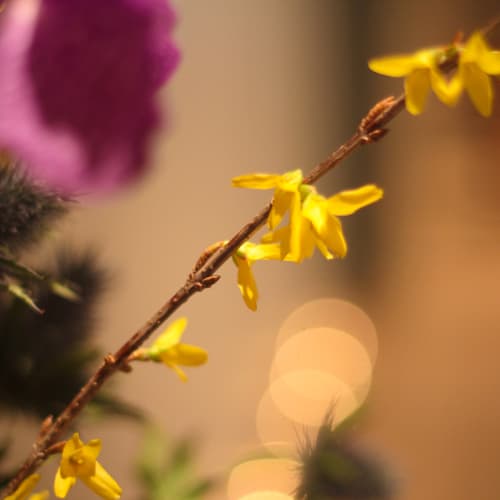 Spa MontKailash - Spa Paris - Spa MontKailash - Photo Galerie - OneBooking
