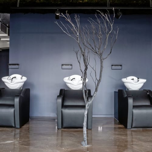 VAGABOND - Coiffure Angers - VAGABOND - Photo Galerie - OneBooking