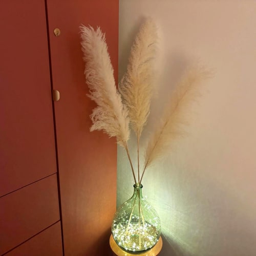 Terres de Lumière - Massage Montpellier - Terres de Lumière - Photo Galerie - OneBooking