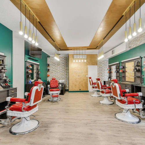 LM Studio - Coiffure Toulouse - LM Studio - Photo Galerie - OneBooking