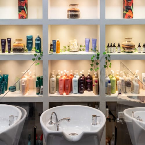 Anne Caprini AVEDA - Coiffure Avignon - Anne Caprini AVEDA - Photo Galerie - OneBooking