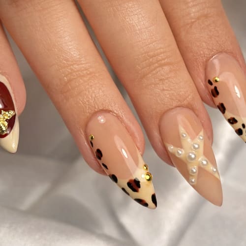 Nova Nails - Onglerie Cambrai - Nova Nails - Photo Galerie - OneBooking