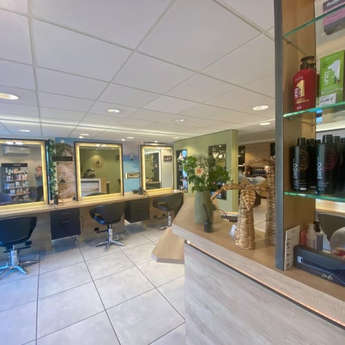 Salon Roosevelt - Coiffure Dijon - Salon Roosevelt - Photo Galerie - OneBooking