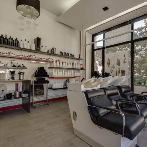 Anthony Bouillot by Coralie - Coiffure Vichy - Anthony Bouillot by Coralie - Photo Galerie - OneBooking