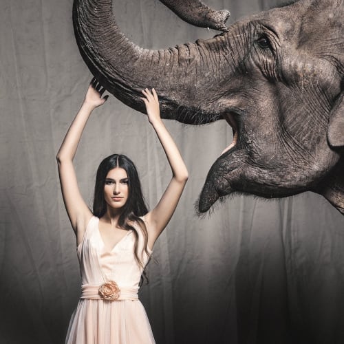 Athias laurent - Coiffure Marseille - Athias laurent - Photo Galerie - OneBooking