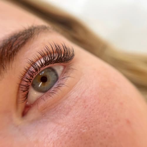 Maison Prunelle - Sourcils & cils Nice - Maison Prunelle - Photo Galerie - OneBooking