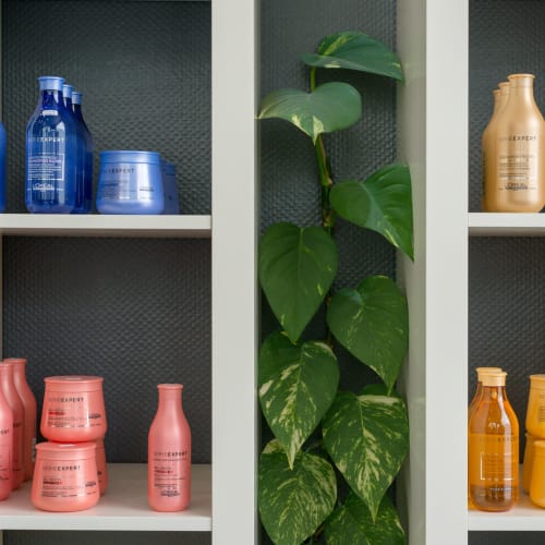 Coiffure Saint Vincent - Coiffure Le Havre - Coiffure Saint Vincent - Photo Galerie - OneBooking