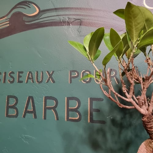 Seven Barbershop - Chavanelle - Coiffure Saint-Étienne - Seven Barbershop - Chavanelle - Photo Galerie - OneBooking
