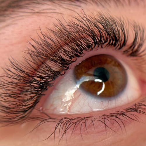 MAISON BEYLIZA - Sourcils & cils Lunéville - MAISON BEYLIZA - Photo Galerie - OneBooking