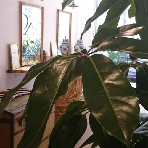 Paon Coiffeur Coloriste - Spa Paris - Paon Coiffeur Coloriste - Photo Galerie - OneBooking