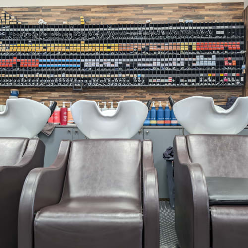 Coiffure Plus - Arras - Barbier Arras - Coiffure Plus - Arras - Photo Galerie - OneBooking