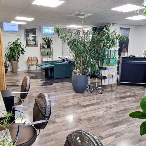 Art & Coiffure - Coiffure Hyères - Art & Coiffure - Photo Galerie - OneBooking