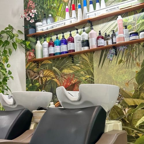 O' Alizés - Coiffure Meudon - O' Alizés - Photo Galerie - OneBooking