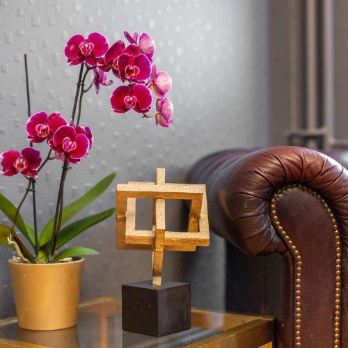 Iris Studio - Épilation Strasbourg - Iris Studio - Photo Galerie - OneBooking