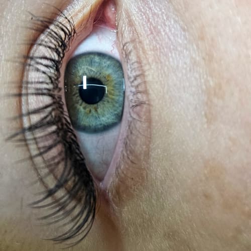 Beewomanly Brow & Lashes - Institut de beauté Lyon - Beewomanly Brow & Lashes - Photo Galerie - OneBooking
