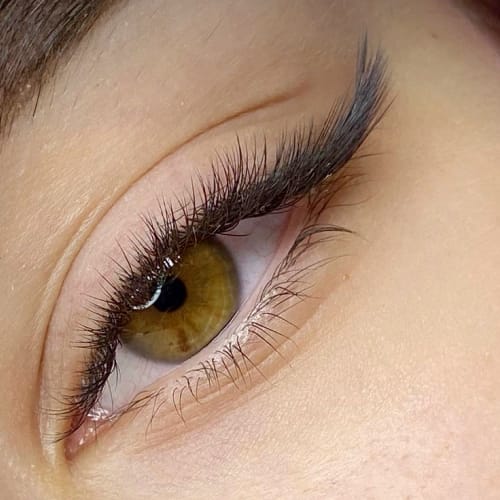 La Station Beauté (ex Jasmine King) - Sourcils & cils Sartrouville - La Station Beauté (ex Jasmine King) - Photo Galerie - OneBooking