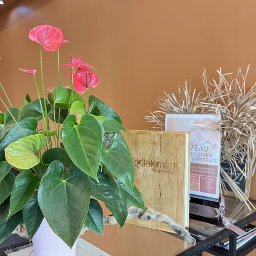Le salon du parc - Coiffure Grenoble - Le salon du parc - Photo Galerie - OneBooking