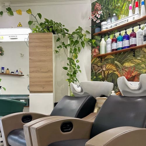 O' Alizés - Coiffure Meudon - O' Alizés - Photo Galerie - OneBooking