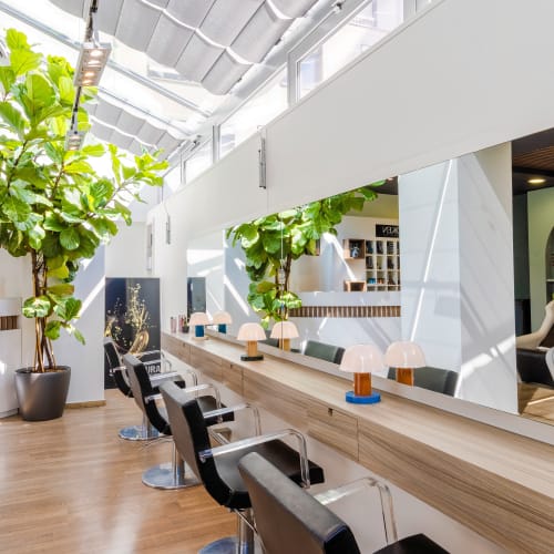 Stephane Cormerais Coiffure - Coiffure Aix-les-Bains - Stephane Cormerais Coiffure - Photo Galerie - OneBooking