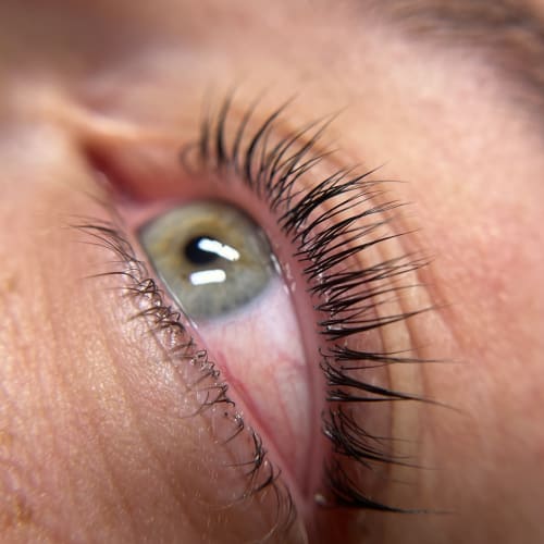 Le Studio d'Axelle - Sourcils & cils Cagnes-sur-Mer - Le Studio d'Axelle - Photo Galerie - OneBooking