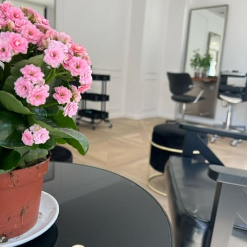 MISSELLA - Coiffure Toulon - MISSELLA - Photo Galerie - OneBooking