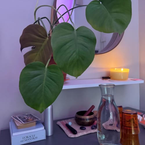 SOMA Massage Therapy - Institut de beauté Marseille - SOMA Massage Therapy - Photo Galerie - OneBooking