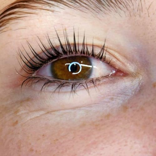 Elow Brow - Sourcils & cils Brest - Elow Brow - Photo Galerie - OneBooking
