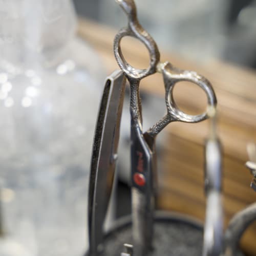Monsieur H. Coiffeur Barbier - Coiffure La Rochelle - Monsieur H. Coiffeur Barbier - Photo Galerie - OneBooking
