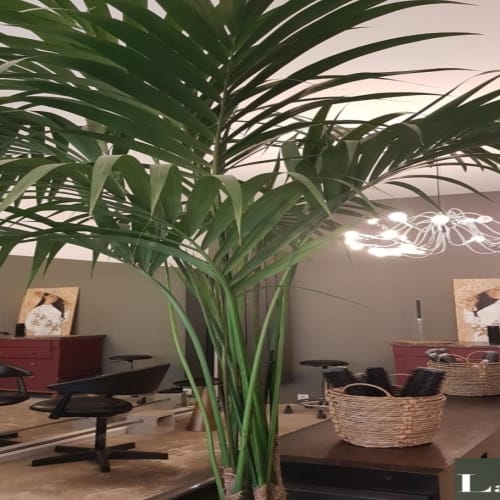 La Loge - Coiffure Nantes - La Loge - Photo Galerie - OneBooking