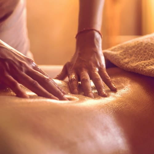 Ikan Therapy au Studio Pomme - Institut de beauté Toulouse - Ikan Therapy au Studio Pomme - Photo Galerie - OneBooking