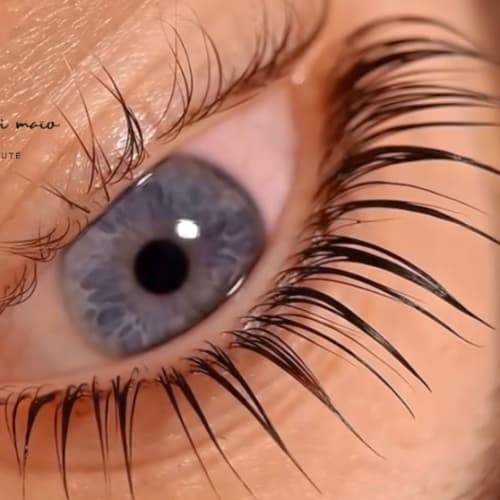 Manon Dimaio - Sourcils & cils Nice - Manon Dimaio - Photo Galerie - OneBooking