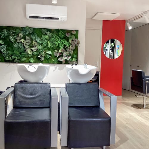 Bowl D'hair - Coiffure Toulouse - Bowl D'hair - Photo Galerie - OneBooking