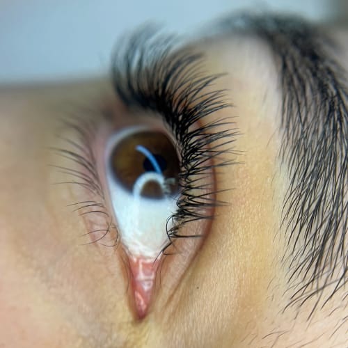 amelie piercing - Sourcils & cils Quimper - amelie piercing - Photo Galerie - OneBooking