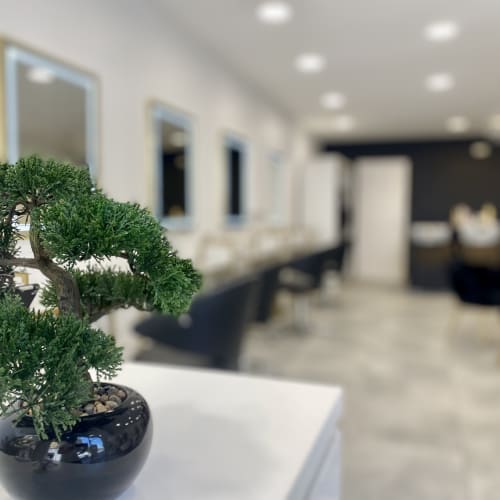 SYA Coiffure x SAMED AYDOGAN - Institut de beauté Cannes - SYA Coiffure x SAMED AYDOGAN - Photo Galerie - OneBooking