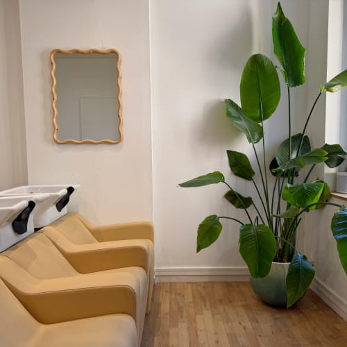 MAISON SAMAIN - Coiffure Toulouse - MAISON SAMAIN - Photo Galerie - OneBooking