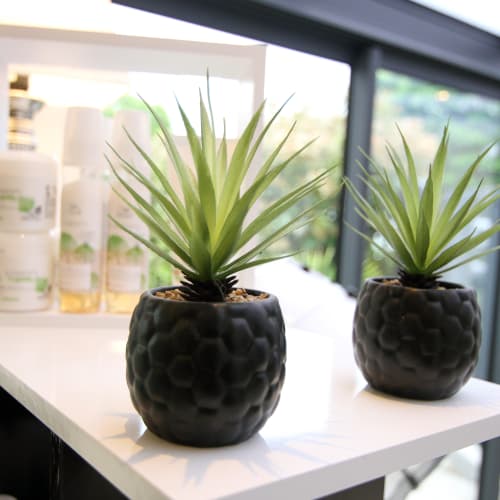 Création coiffure - Coiffure Châteauroux - Création coiffure - Photo Galerie - OneBooking