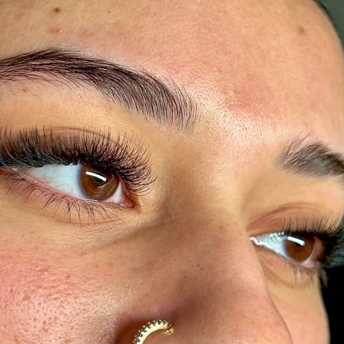 Shine Lash - Institut de beauté Toulon - Shine Lash - Photo Galerie - OneBooking