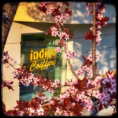 Coiffure Indigo - Coiffure Saverne - Coiffure Indigo - Photo Galerie - OneBooking