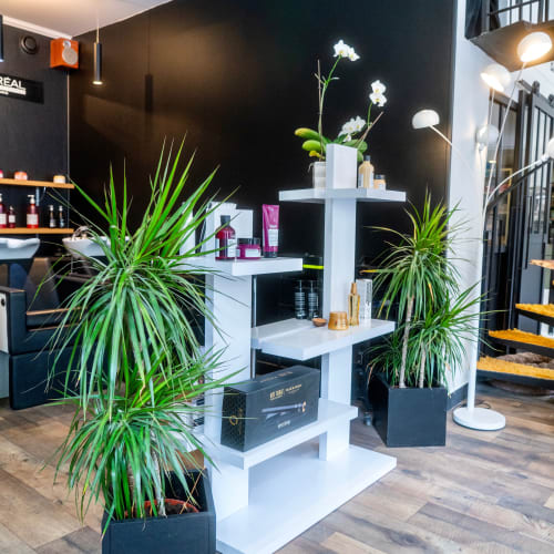 Color Nadine - Coiffure Lyon - Color Nadine - Photo Galerie - OneBooking